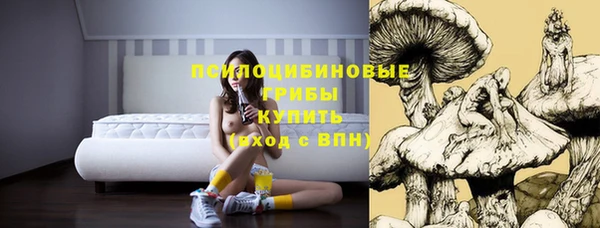 шишки Аркадак