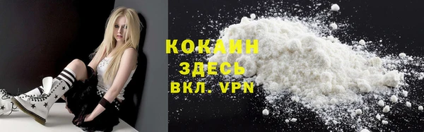 шишки Аркадак