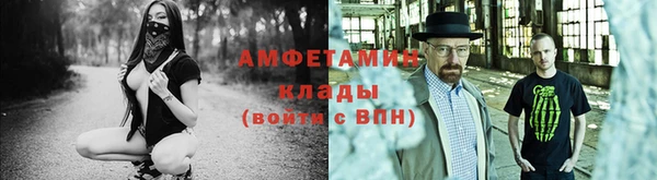 шишки Аркадак