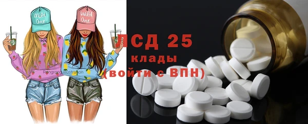 шишки Аркадак