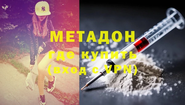 шишки Аркадак