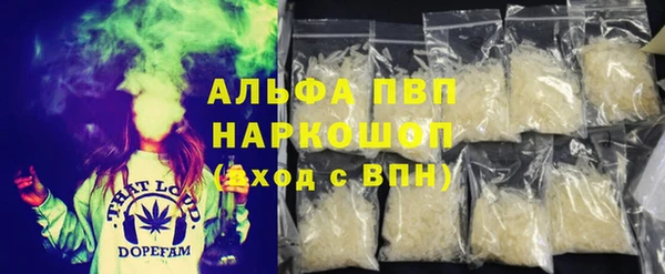 шишки Аркадак