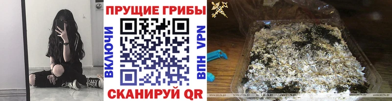 Псилоцибиновые грибы мицелий  OMG tor  Снежинск  купить закладку 
